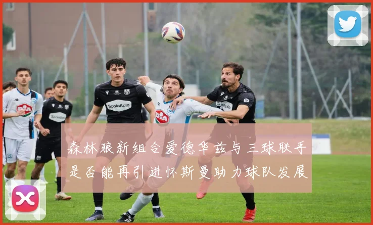 森林狼新组合爱德华兹与三球联手是否能再引进怀斯曼助力球队发展