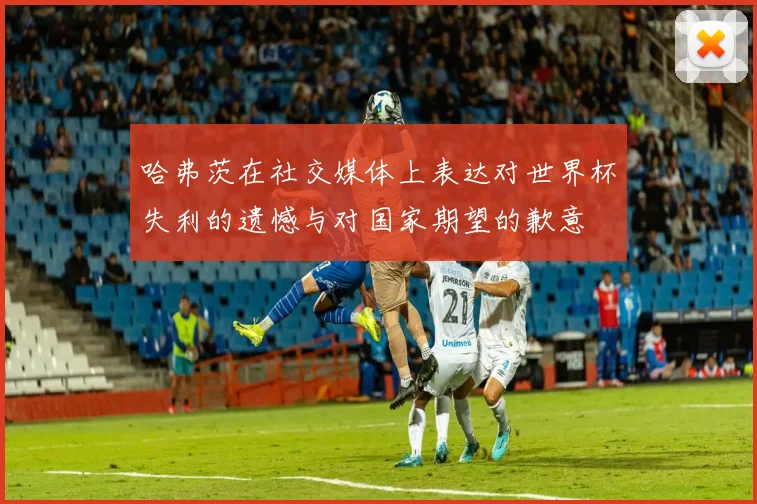 哈弗茨在社交媒体上表达对世界杯失利的遗憾与对国家期望的歉意