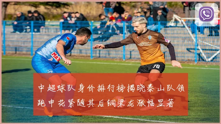 中超球队身价排行榜揭晓泰山队领跑申花紧随其后铜梁龙涨幅显著